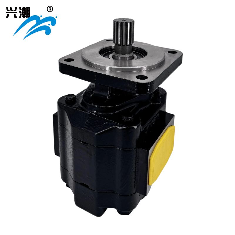 Cast Iron Motors – PGM051 Series