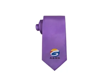Chint custom men's formal tie - [Handsome tie]
