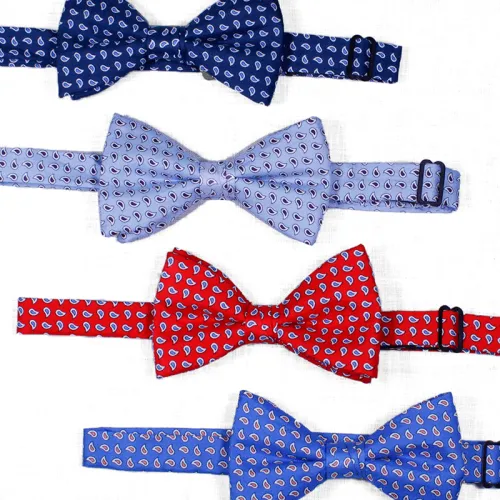 Silk luxury fashion dots butterfly bowtie for men