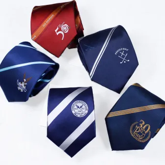 Polyester woven custom education school logo ties necktie