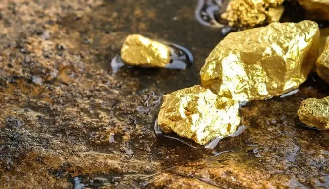 Activated Carbon for Gold Recovery | Coconut Shell Carbon for CIL & CIP