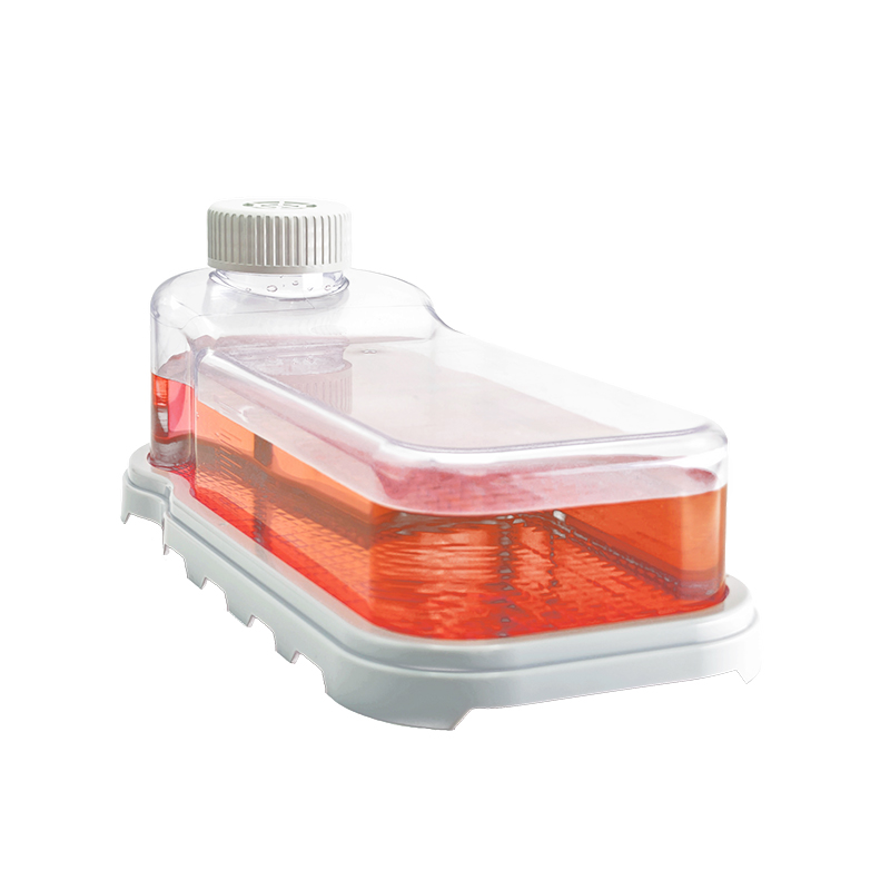 Cell Culture Flask