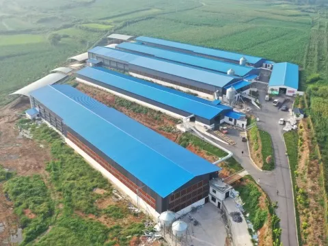 For Agricultural Buildings: Stable Climate · Biosecurity · Corrosion Resistance · High Yield -- Modern Agricultural Integrated Insulation Solutions