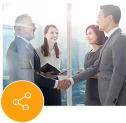 0.75L Carbon Steel Hydraulic Diaphragm Accumulator All Volume