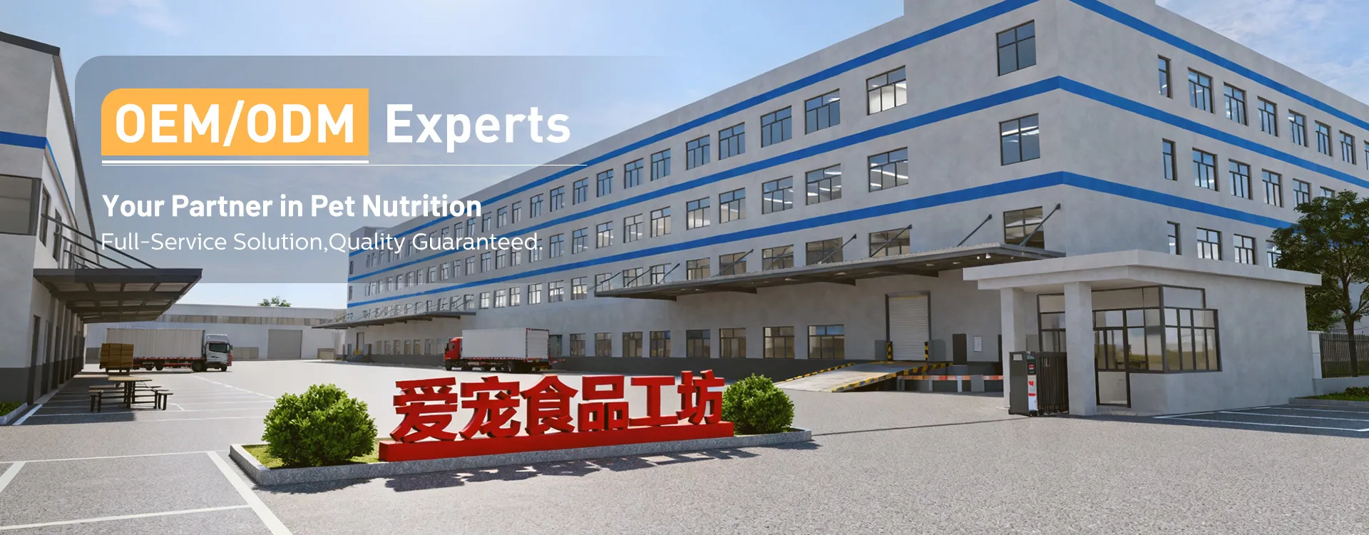 Xingtai Dingcan Trading Co., Ltd.