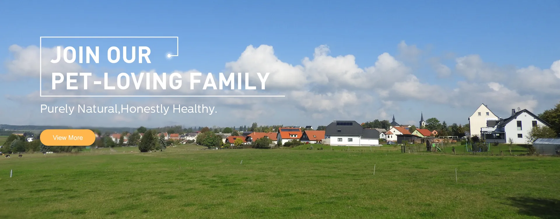 Xingtai Dingcan Trading Co., Ltd.