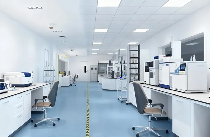 Xingtai Dingcan Trading Co., Ltd.