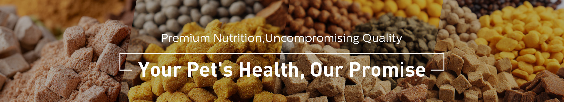 Xingtai Dingcan Trading Co., Ltd.