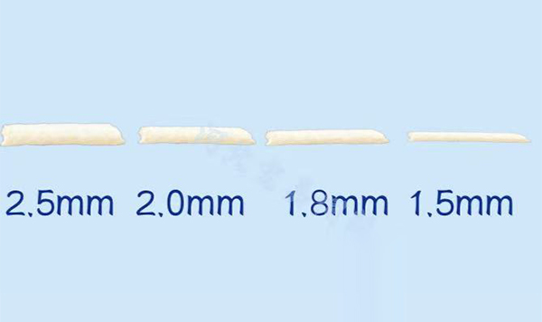 Kotoran Kucing Khusus