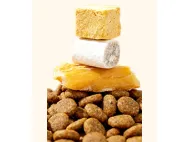 How to Choose a Private Label Pet Food Manufacturer: A Practical Guide for Brand Owners