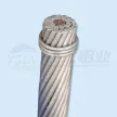 Aluminum Conductors-Aluminum Clad Steel Supported