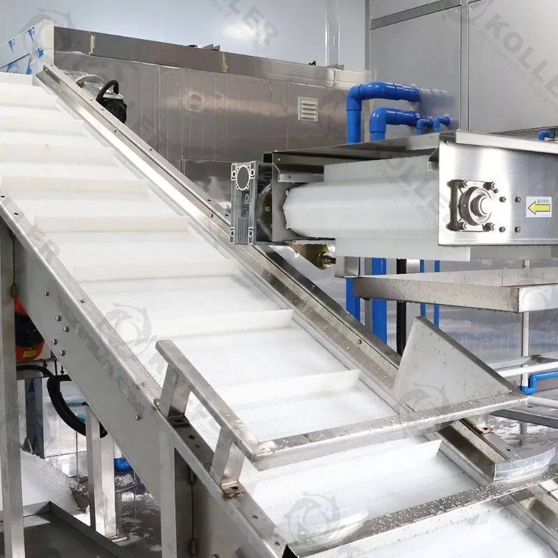 Conveyor System
