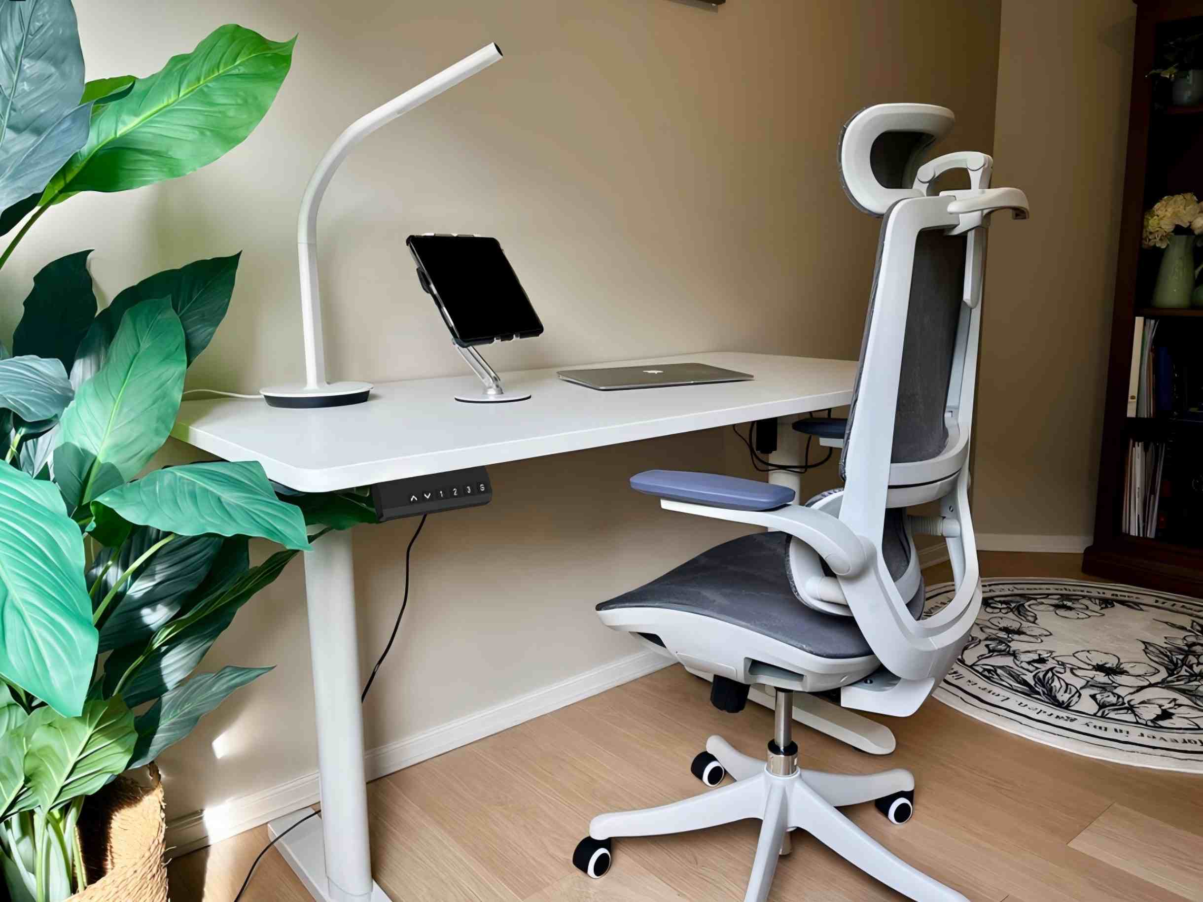 South American Region Cooperation – Our Partnership with a Brazilian Local Office Furniture Dealer for Custom Electric Lifting Desk Solutions