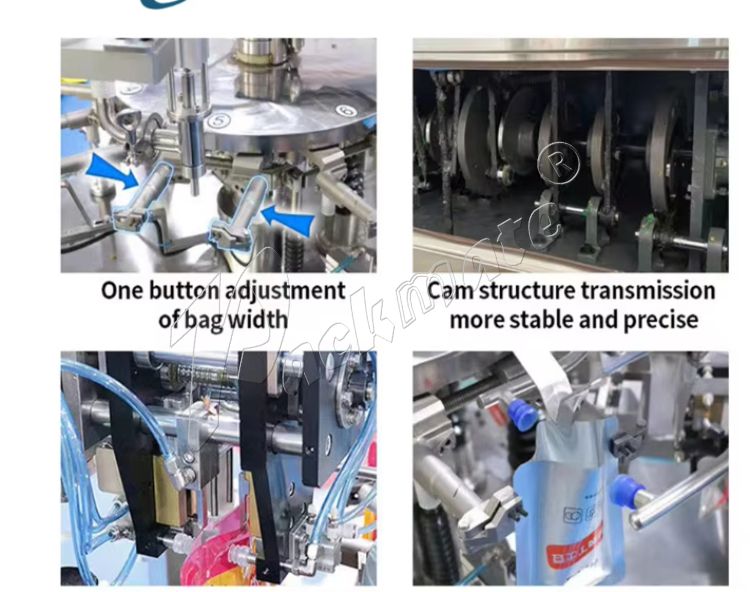 Ready Made Pouch Packing Machine