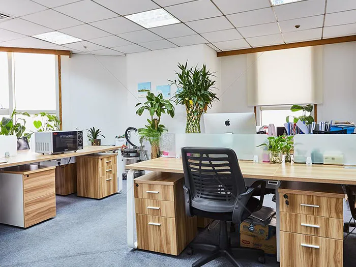 Tirzepatide Shuangxindashi