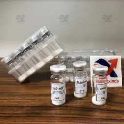 ကိုယ်ခန္ဓာတည်ဆောက်ခြင်းနှင့် ပုံသဏ္ဌာန်အတွက် တာဇီပါတီ ထောက်ပံ့သူ