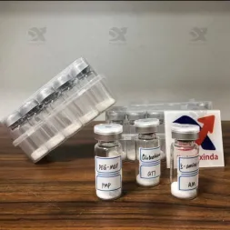 ကိုယ်ခန္ဓာတည်ဆောက်ခြင်းနှင့် ပုံသဏ္ဌာန်အတွက် တာဇီပါတီ ထောက်ပံ့သူ