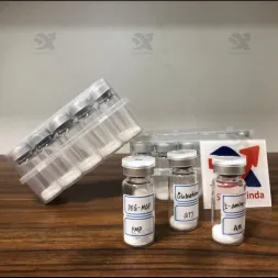 ကိုယ်ခန္ဓာတည်ဆောက်ခြင်းနှင့် ပုံသဏ္ဌာန်အတွက် တာဇီပါတီ ထောက်ပံ့သူ