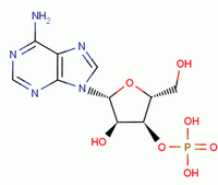 Adenosine 5'-monophosphate 61-19-8