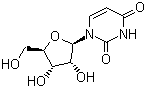 Uridine 58-96-8