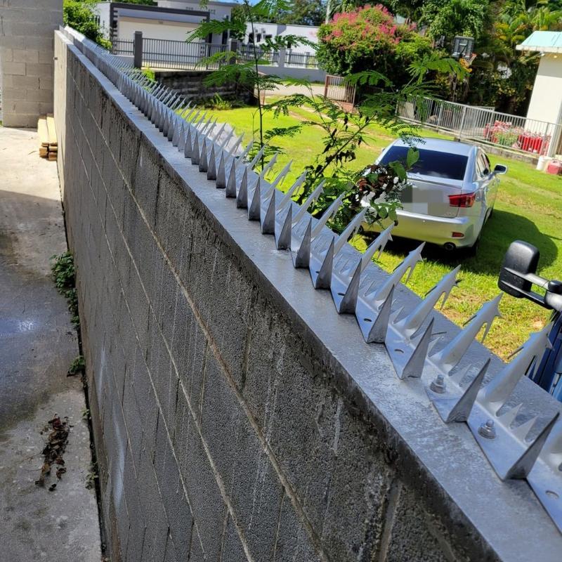 Wall Spikes