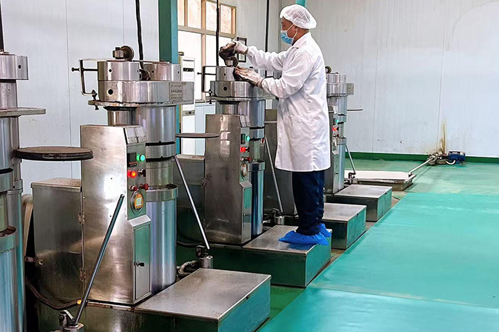 Oil Pressing Workshop