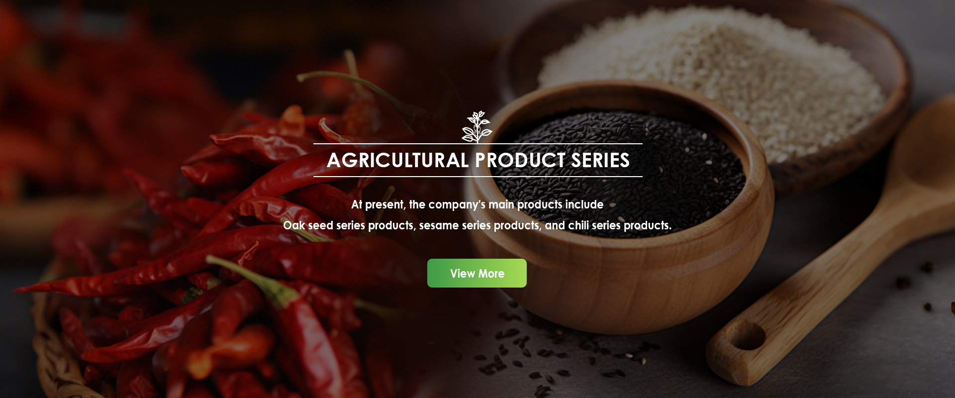 Xiangyang Sanzhen Food Co.,Ltd