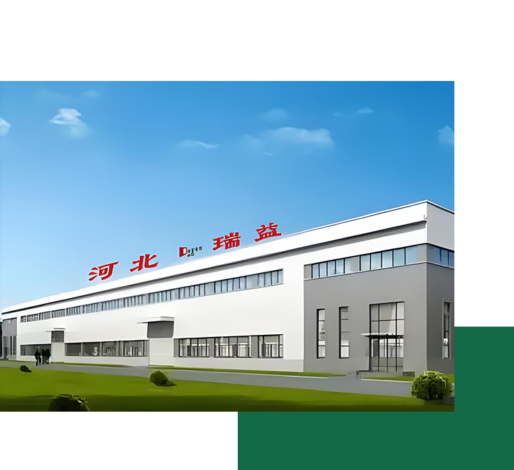 Pulp Molding Machine Manufacturer Capabilities: Mold Materials and Customization