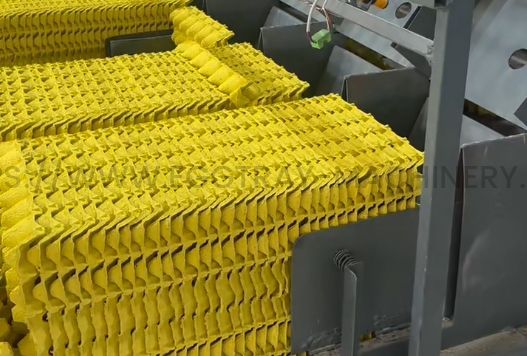 Plastic Packaging Bans Around the World and the Shift to Molded Pulp