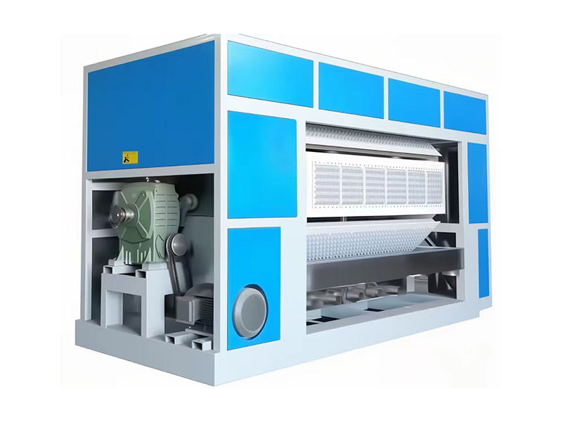 Raw Materials for Pulp Molding Machinery: Waste Paper, OCC, and Fiber Pulp