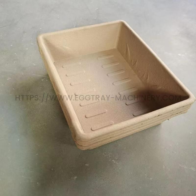 Why Tray Molding is the Future of Efficient Packaging Solutions