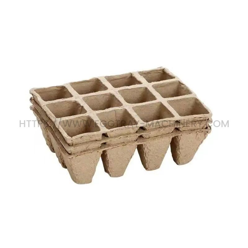 Paper Tray Packaging