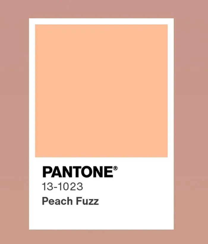 Color of the Year 2024 Peach Fuzz