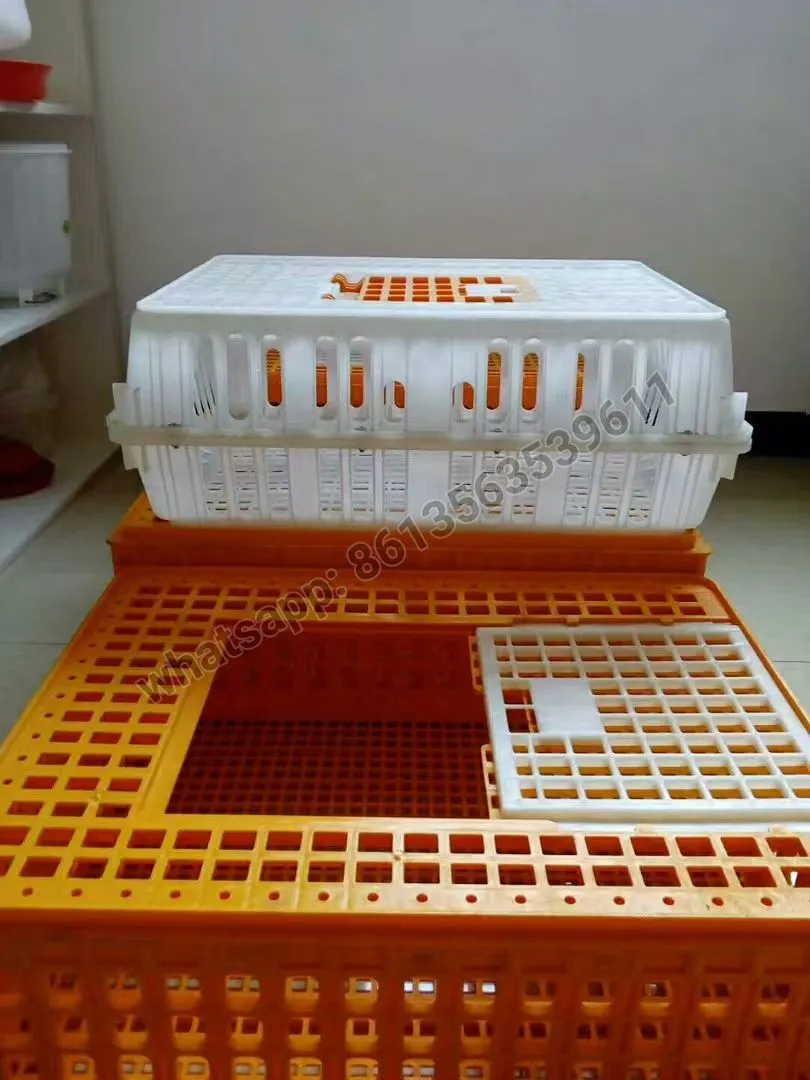 What is a layer chicken cage and how does it work?