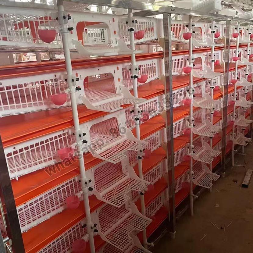Halbautomatischer Wachtelkäfig vom Typ H aus PVC-Material