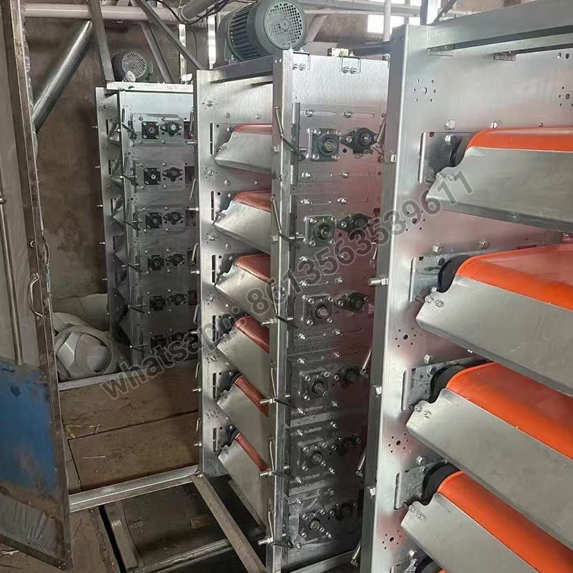 Halbautomatischer Wachtelkäfig vom Typ H aus PVC-Material