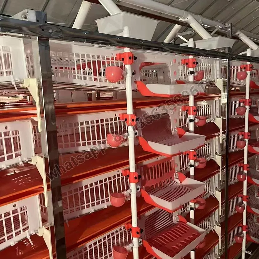 Halbautomatischer Wachtelkäfig vom Typ H aus PVC-Material
