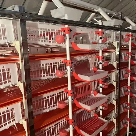 Halbautomatischer Wachtelkäfig vom Typ H aus PVC-Material
