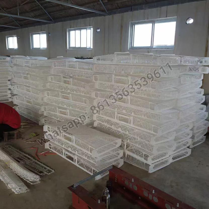 Halbautomatischer Wachtelkäfig vom Typ H aus PVC-Material
