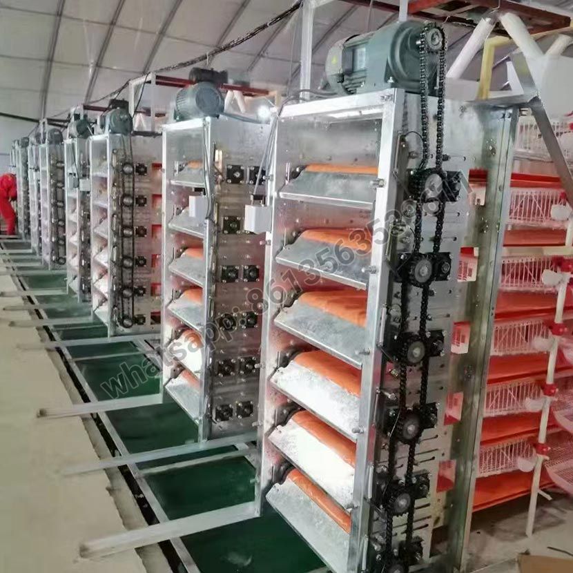 Halbautomatischer Wachtelkäfig vom Typ H aus PVC-Material