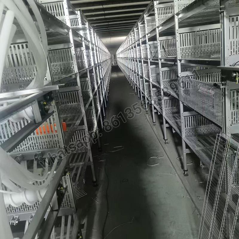 Полностью автоматическая клетка для перепелов-бройлеров типа H