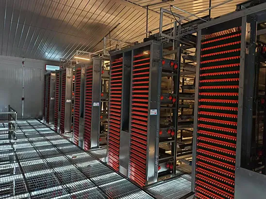 Covering All Breeding Scenarios! 2026 Hot Poultry Farming Equipment Category Inventory – There’s Always One Suitable for Your Farm