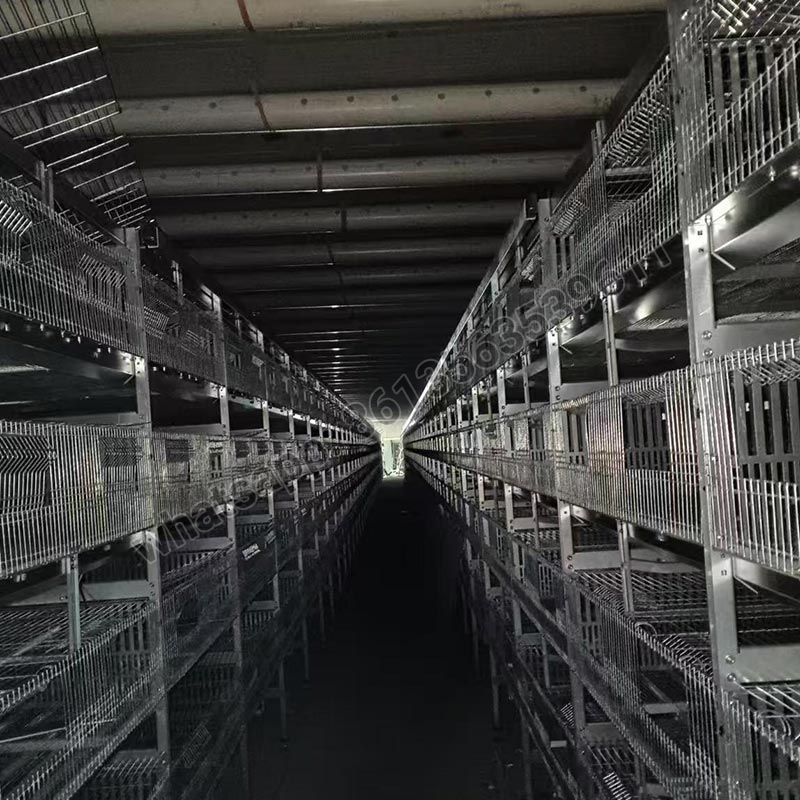 Полностью автоматическая клетка для перепелов-бройлеров типа H