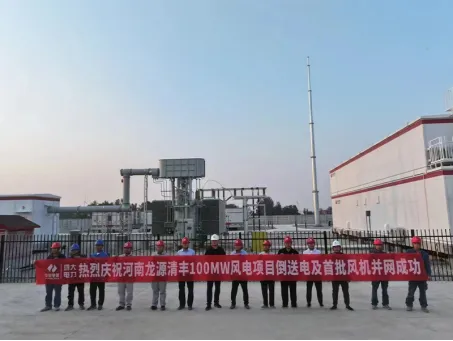 Progetto di energia eolica da 100 MW di Henan Longyuan Qingfeng