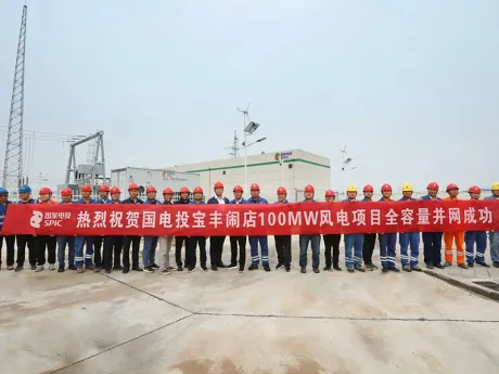 State Power Investment Corporation (SPIC) Progetto di energia eolica Baofeng Naodian da 100 MW