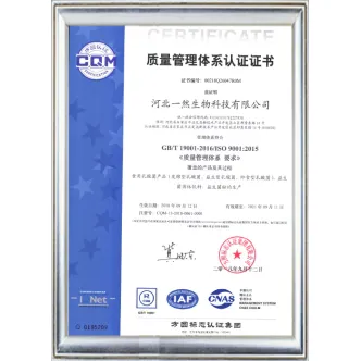ISO 9001 -CN