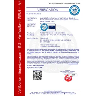 VERIFICACIÓN