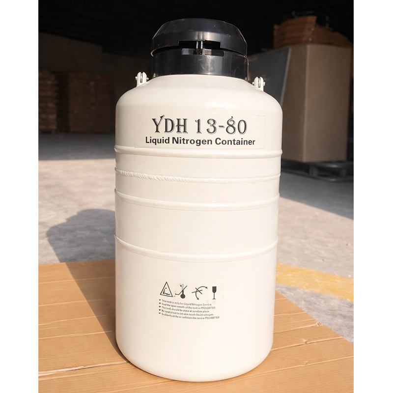 Conteneur de transport de liquide azote par Dry Shipper | Transport aérien d'échantillons biologiques