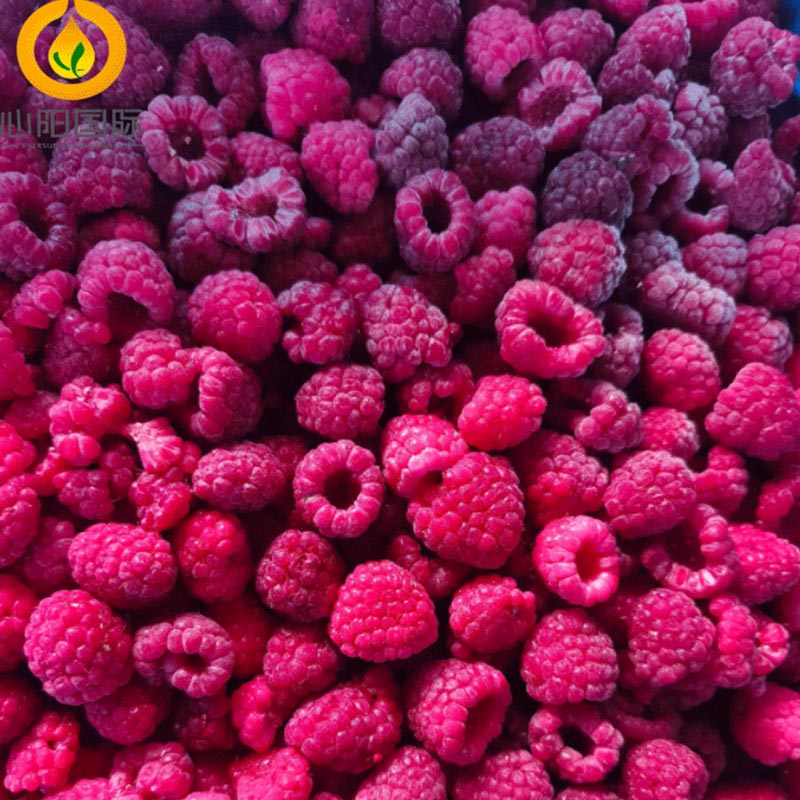 Iqf Raspberry Frozen Raspberries Bulk Supply | IQF Raspberry Supplier