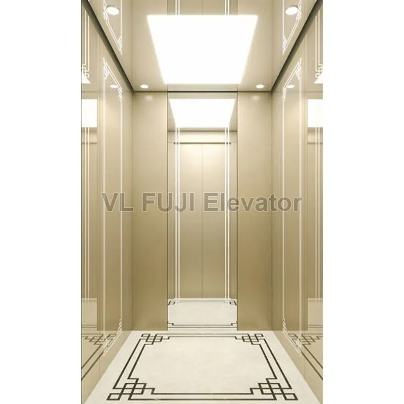 Taction Home Traction Home Elevator: Elevate Your Living Space.